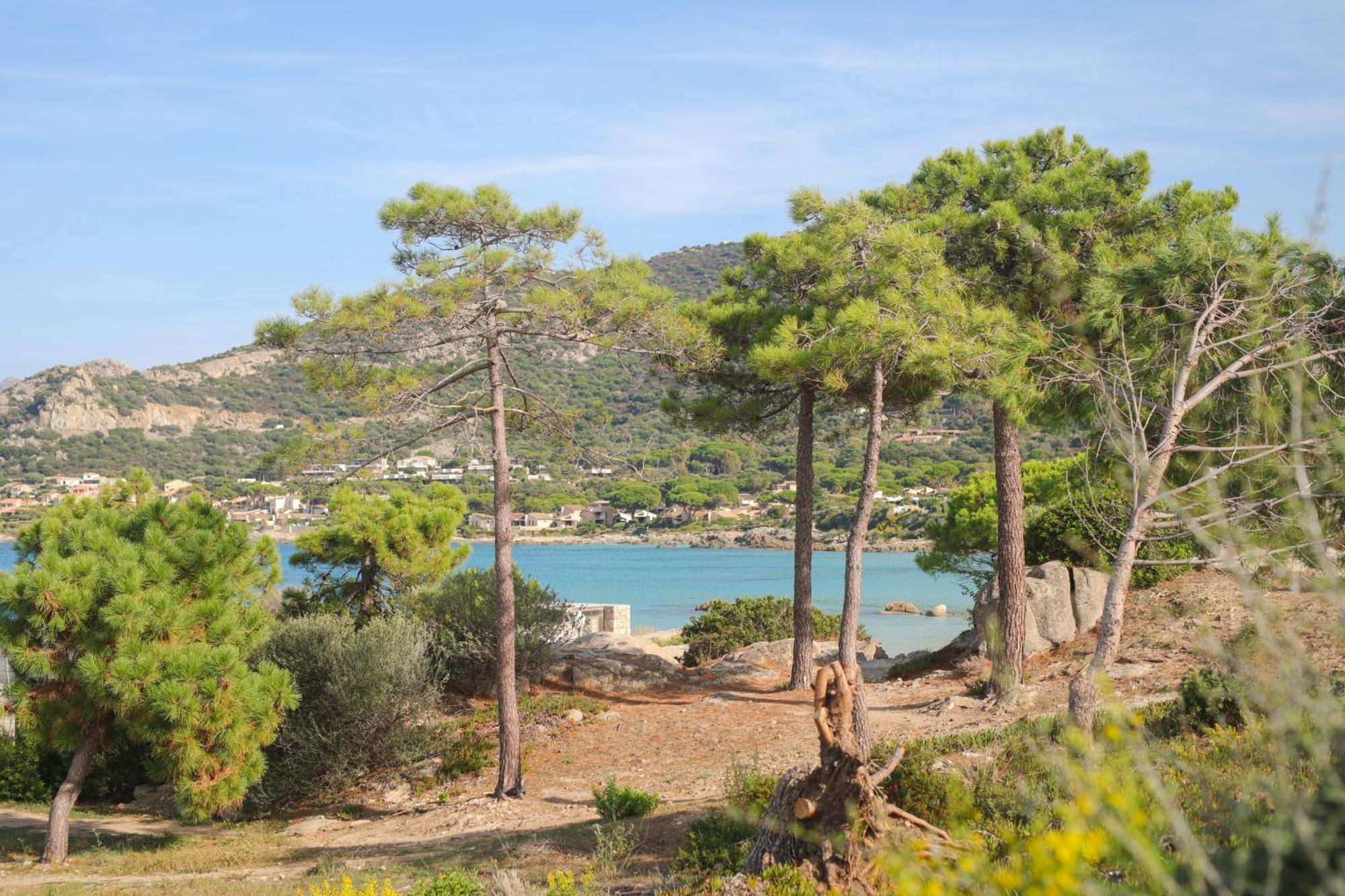 Appartement La Balagne , Bord De Mer, Grande Terrasse, Sant'Ambroggio Lumio (Corsica) Exterior foto